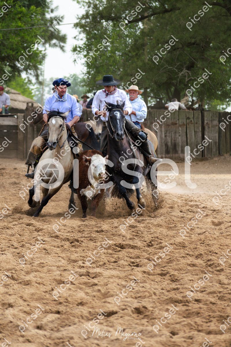 Photo of j024ajciqqhyilj93el92tgf