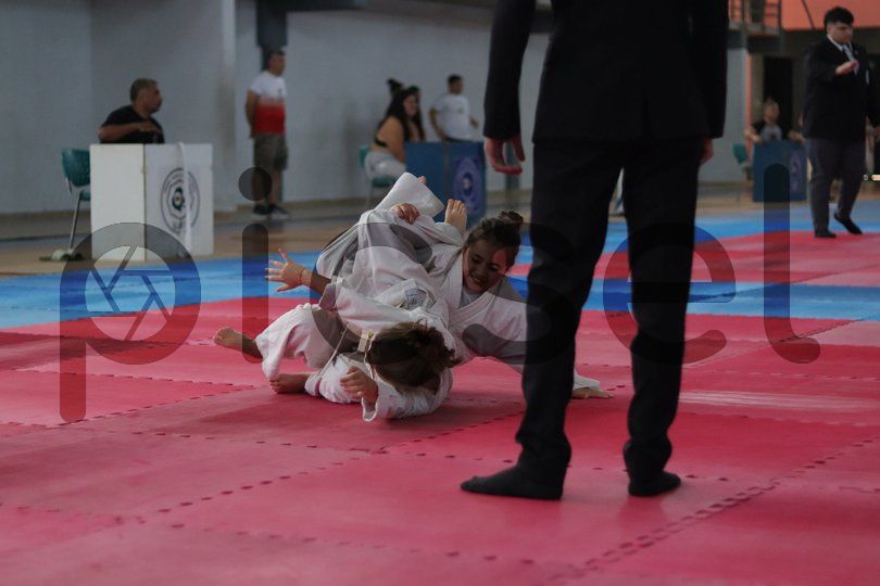 Photo of p6or0lrohygkyux4nls2fzwx