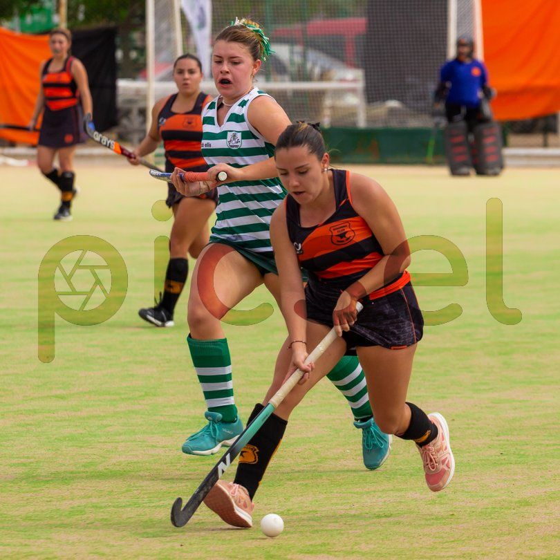 Photo of ml7ivx9zaazx63mq236qp9j7