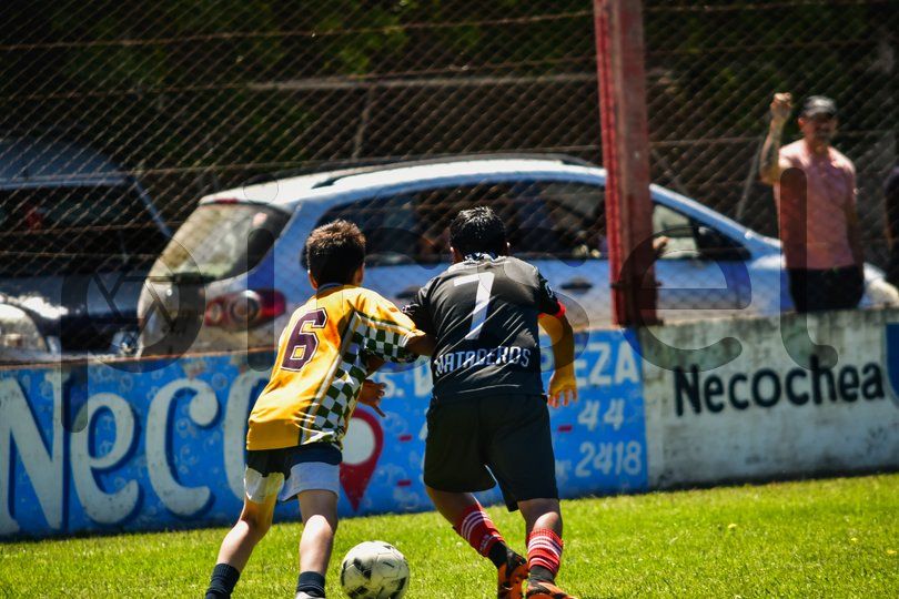 Photo of hrd6p2w7ma736hmmu3tnrf6l