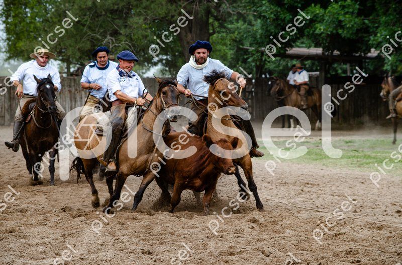 Photo of k1tegncm9pi1tsh1ktsrqdly