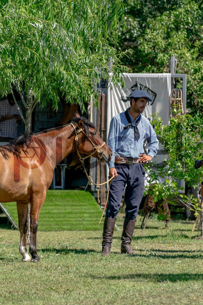 Photo of qykrk3lro0sbhidtaviuwpa1