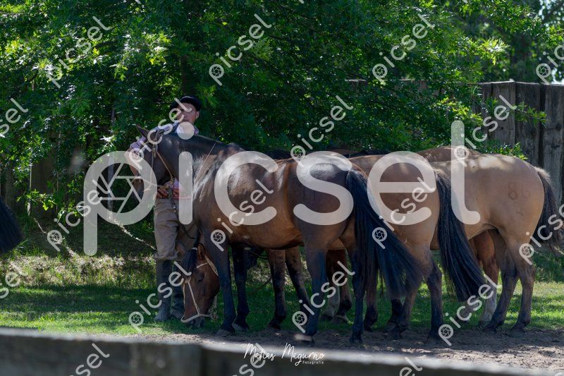 Photo of m7hagzd560c5ihraajwfq93z