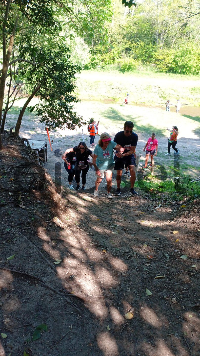 Photo of qvbys4e7v74d0fs7qtixq1dt