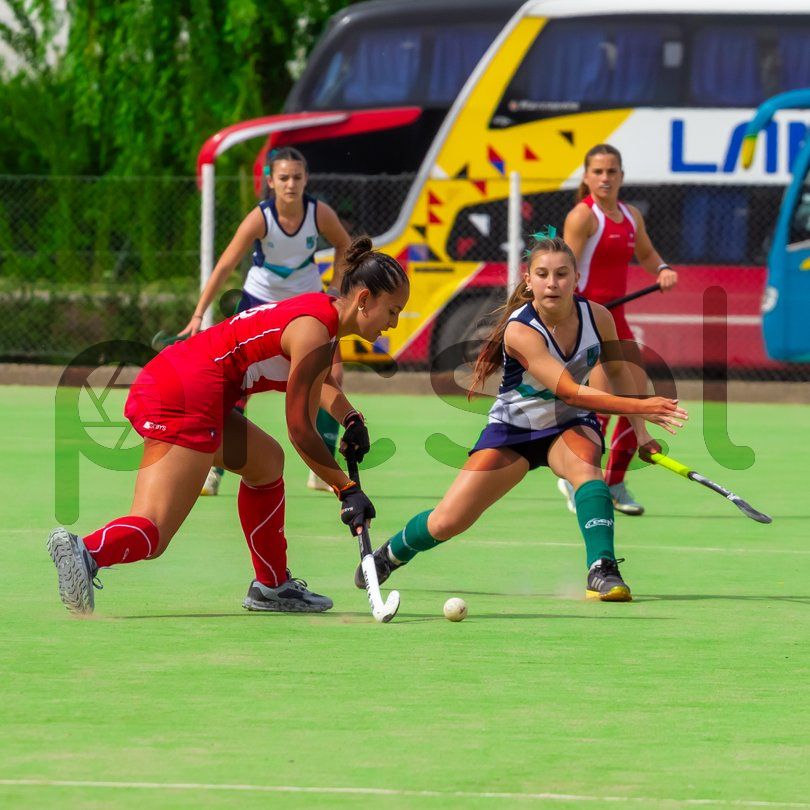 Photo of hrvmldd8wkg81pm7hyi17f4g