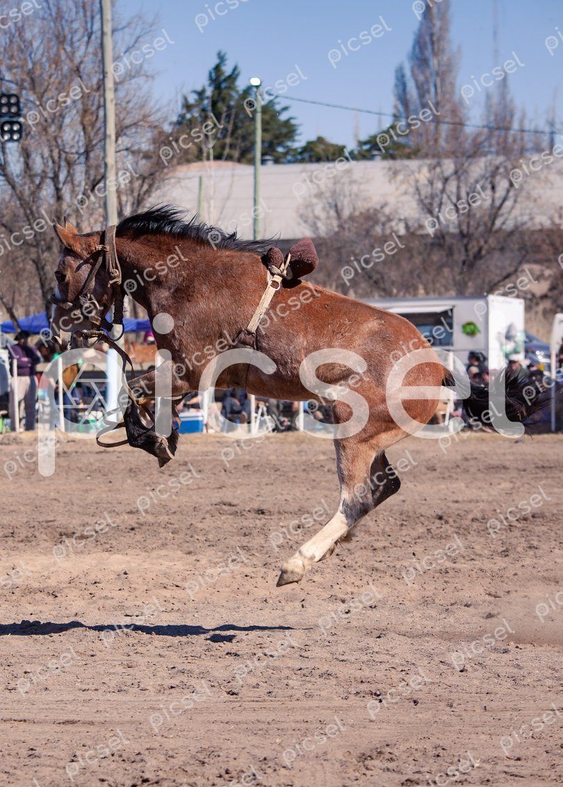 Photo of oku11q86u3kd3uhebkh2u9q7