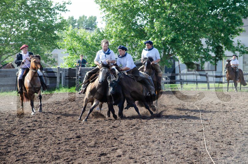 Photo of uofb4rac4auimc5niere40oo