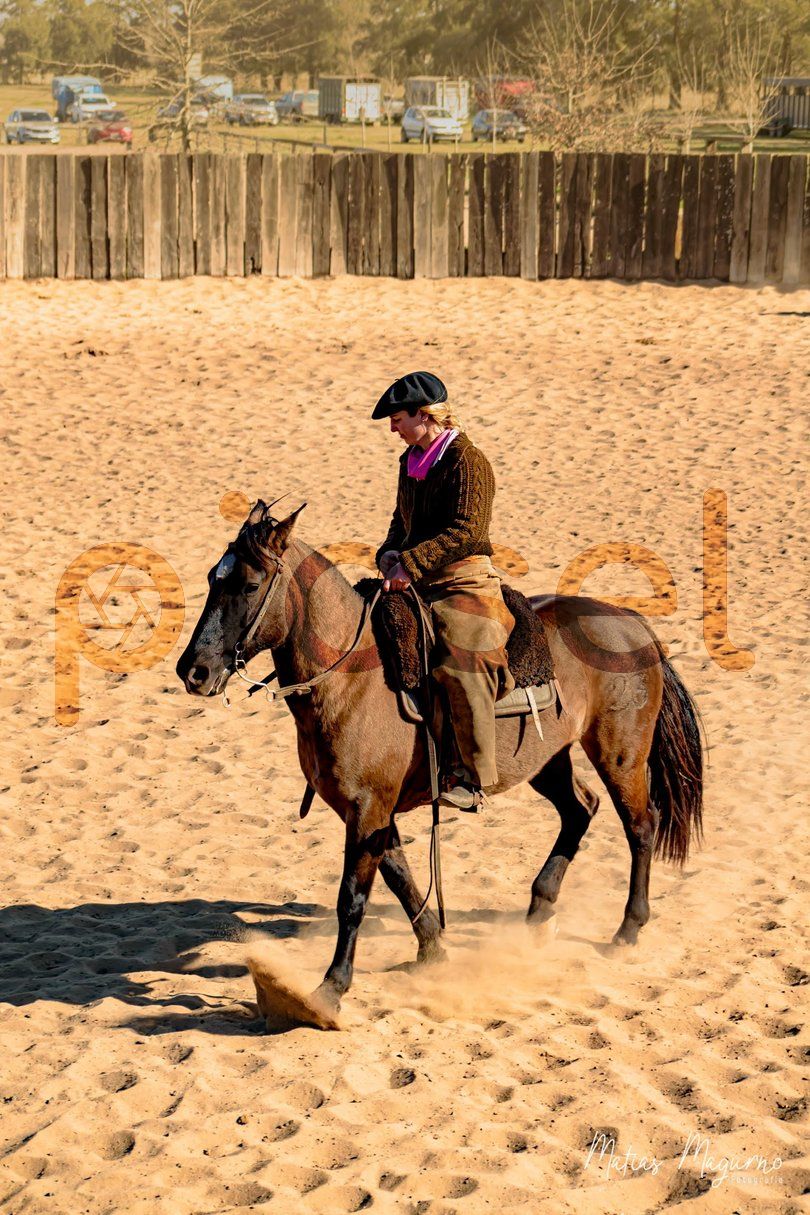 Photo of x2djpkfvee86gltb79n5kvso