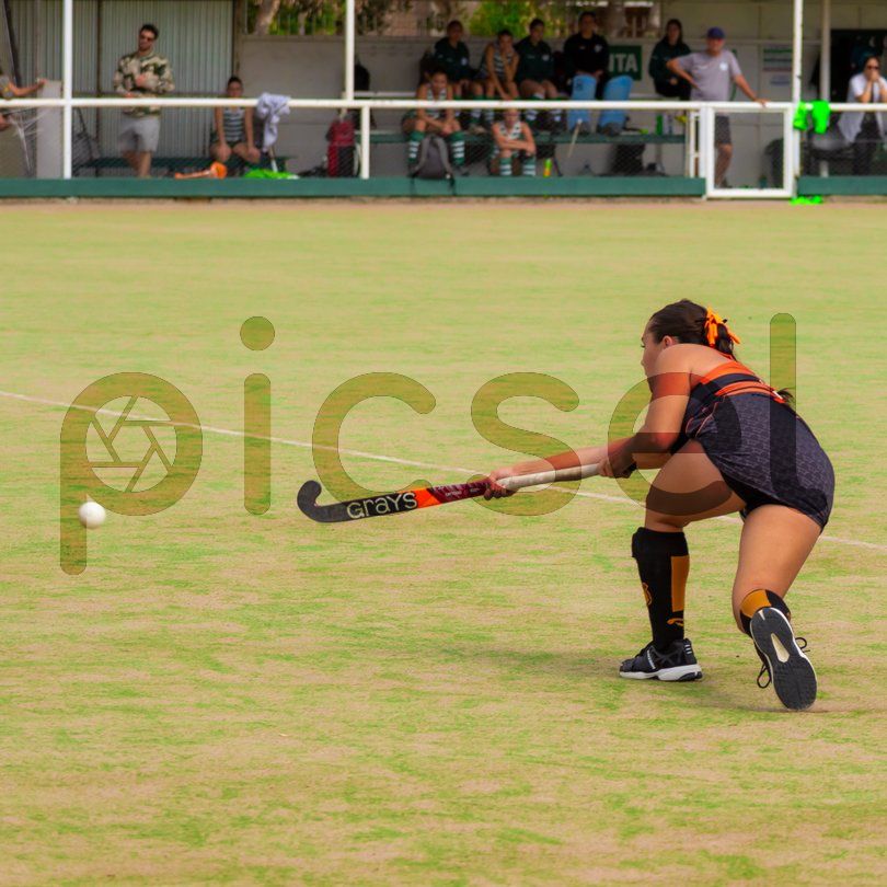 Photo of n9e1fs7p6u4wy0ykwskmhfs8