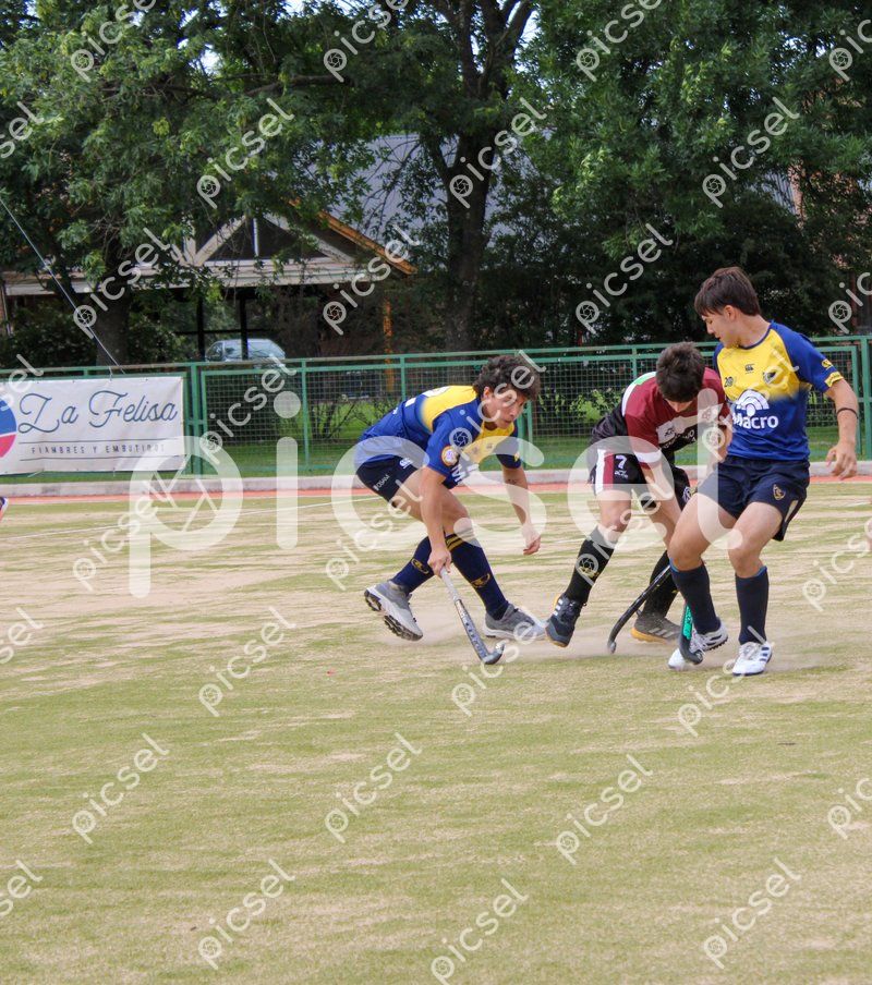 Photo of pql5ngl22fr0oppz1no8g0gn