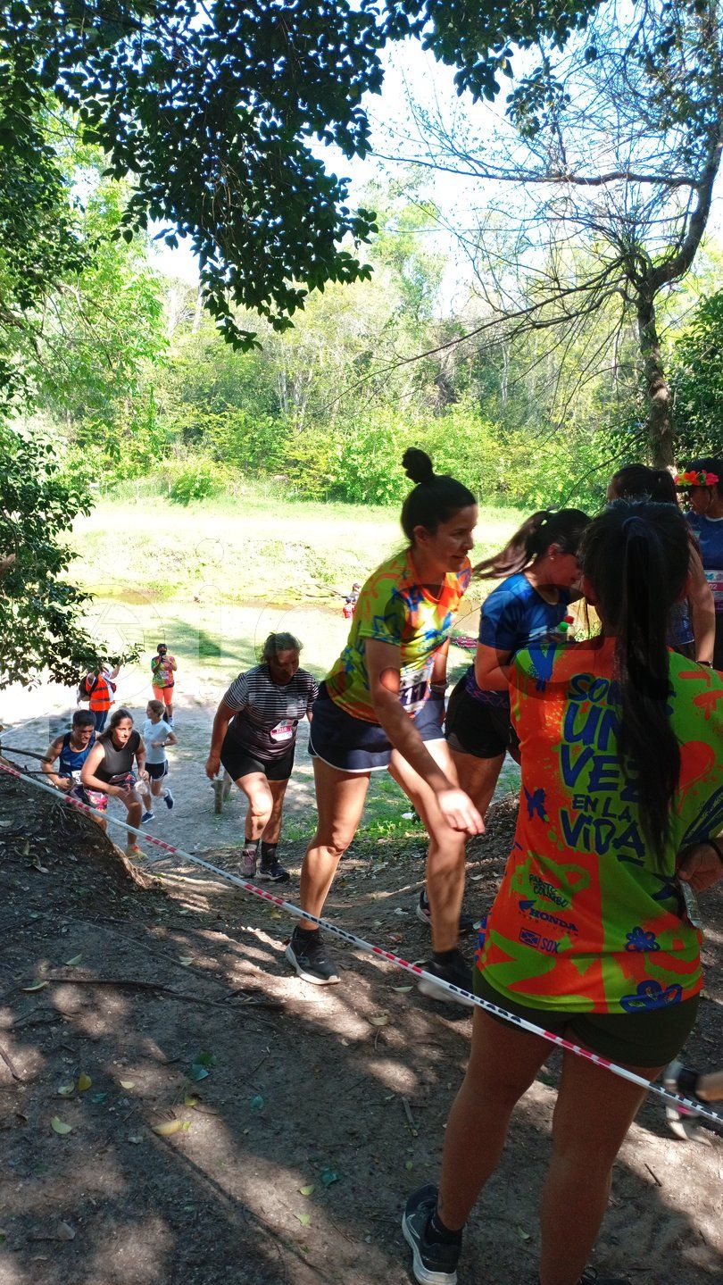 Photo of a3afh2qbgbxjx2h55fr84lsh