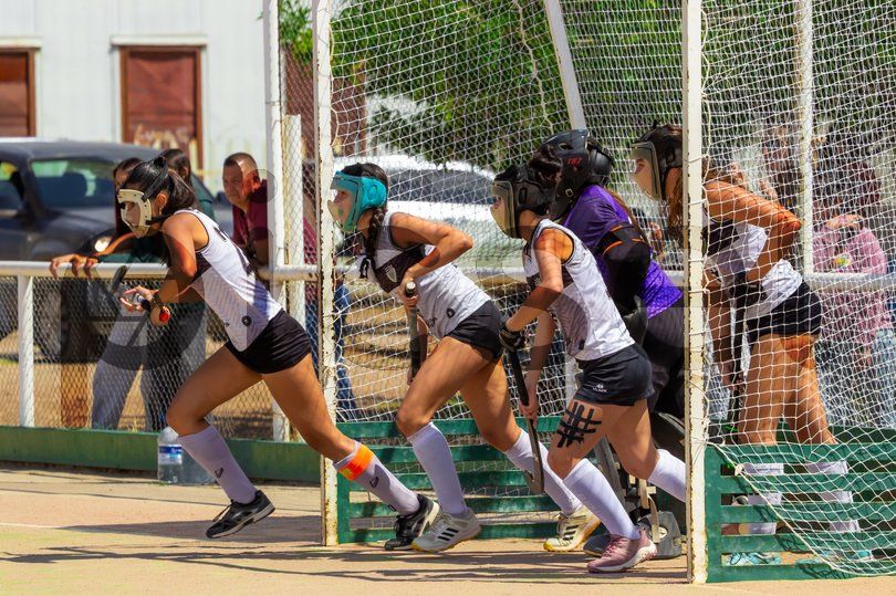 Photo of xnutwxaus097sj8dq1w2scz3