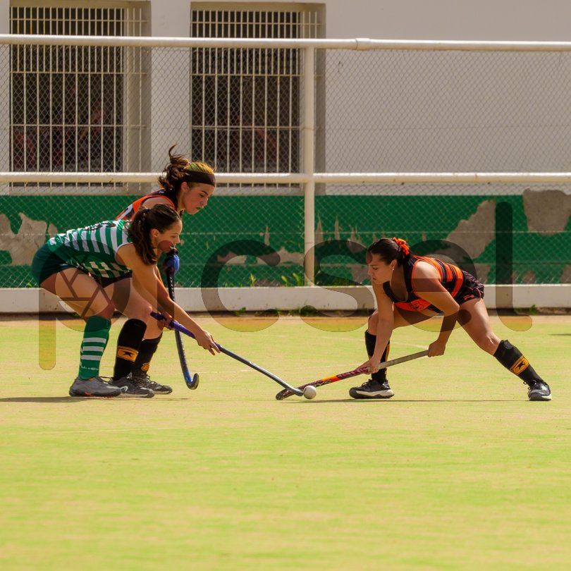 Photo of h31b4g42eaplivn8ewav97ku