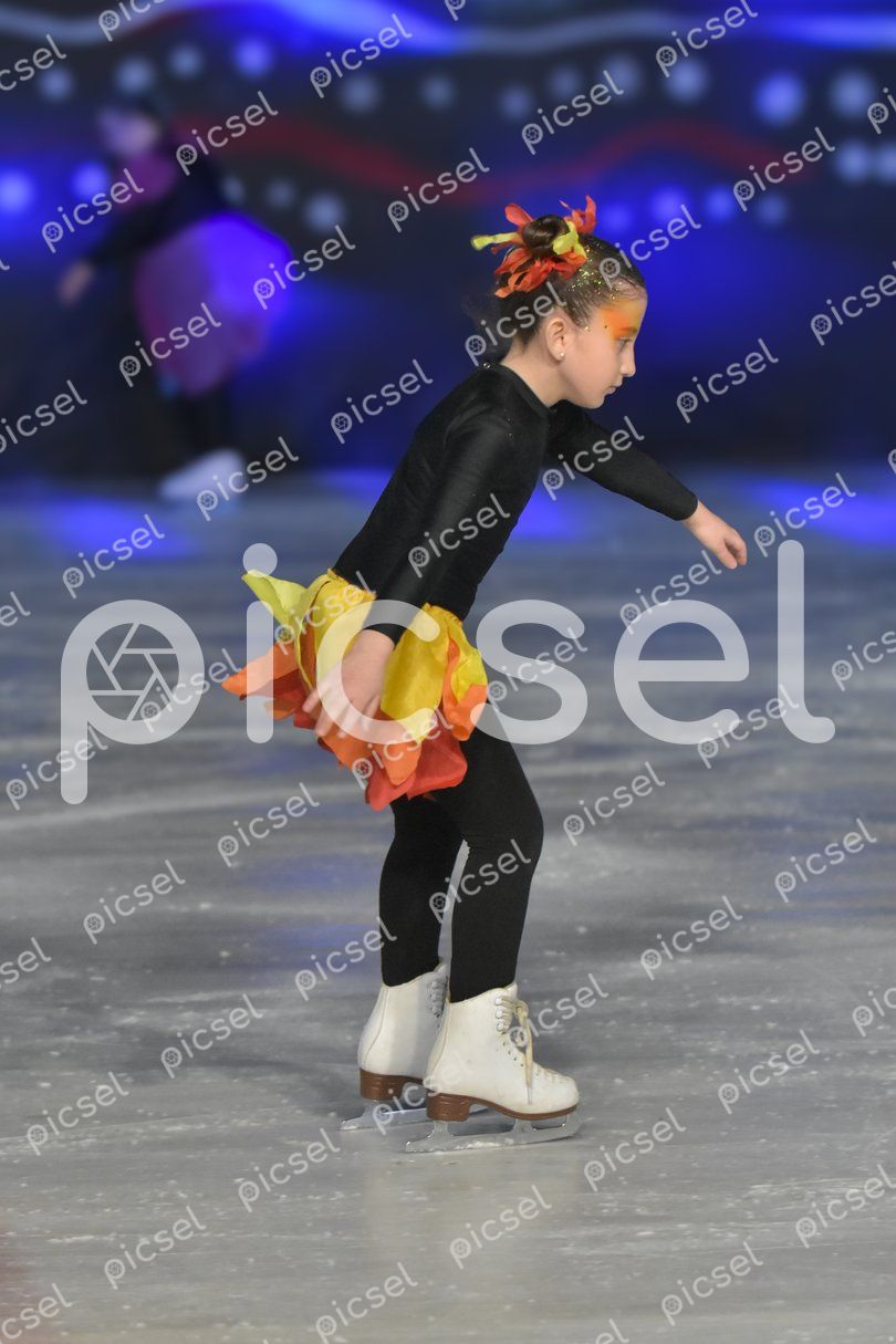 Photo of rous1vj4hdbvzgiv6j73ew4i