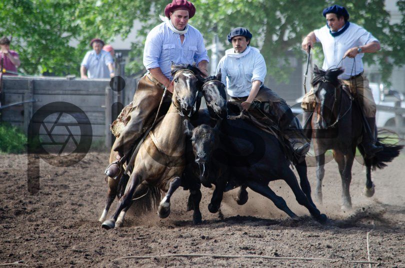 Photo of qvvkft3tmhhf9egnbi3z9q8r