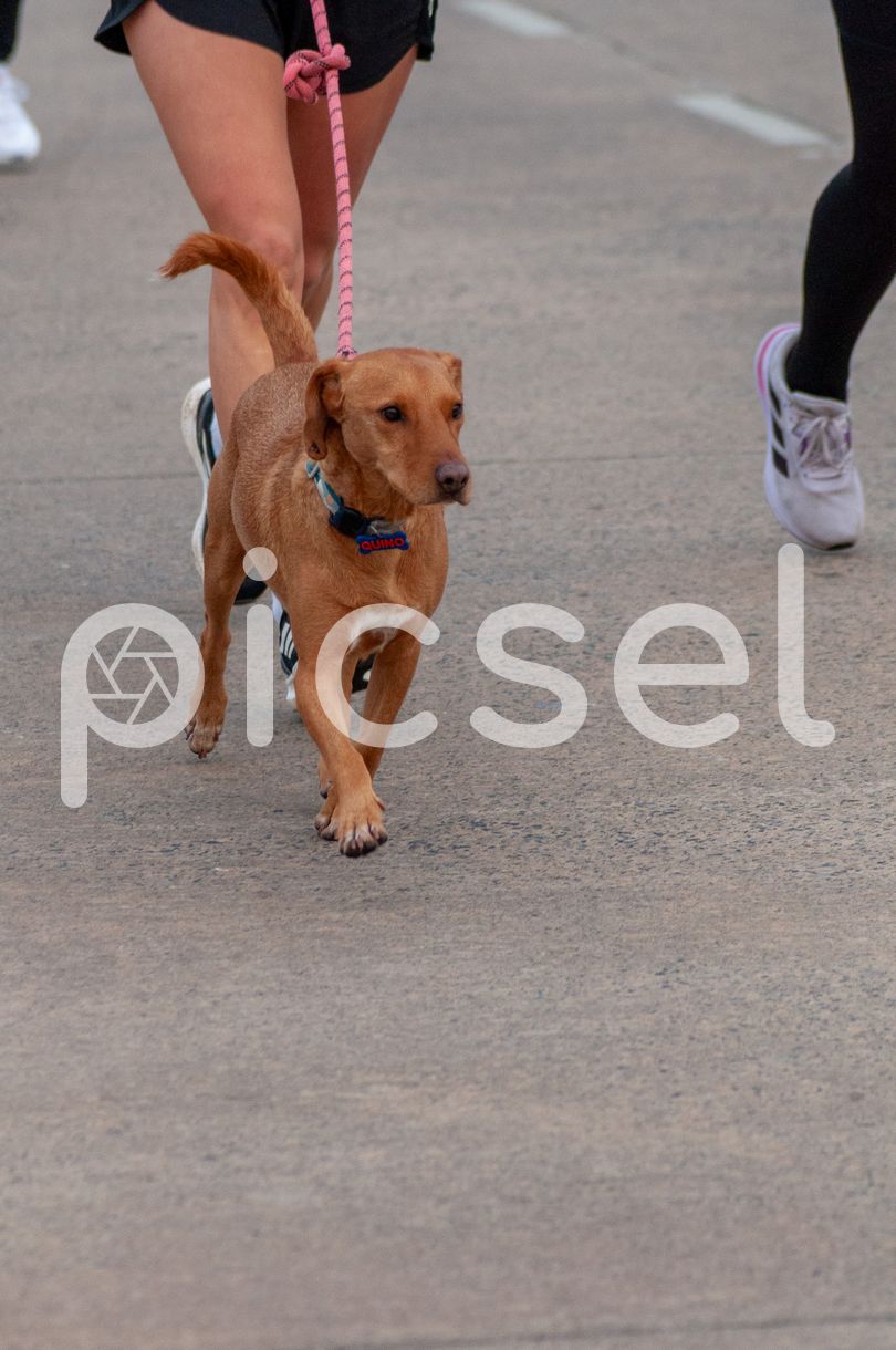 Photo of xwzi8hhmf9lxwe3ep7j9enmb