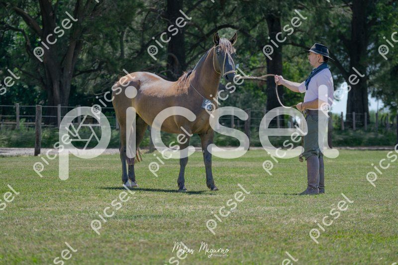 Photo of sngjvstw967p3excxqmjf17h