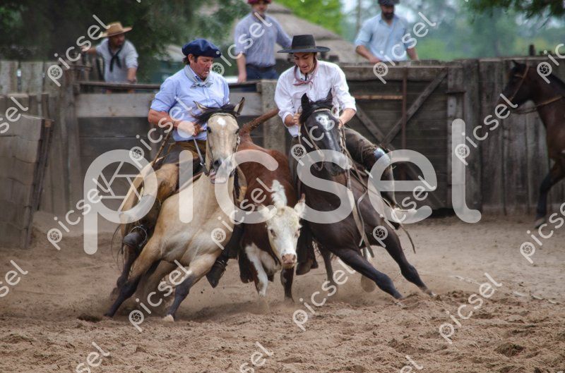 Photo of p4pz7njjqm55kf94eciactp8