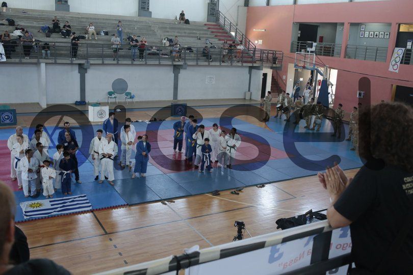 Photo of w3mcg20sd9ph03p41aszms9o