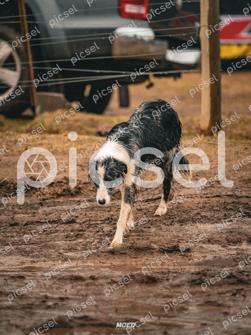 Photo of uex01h0uujqhyd6owh776tvz