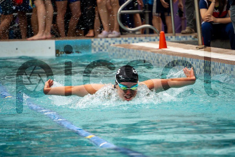 Photo of nmk2uepoqmhx7lj0nprrgtjm