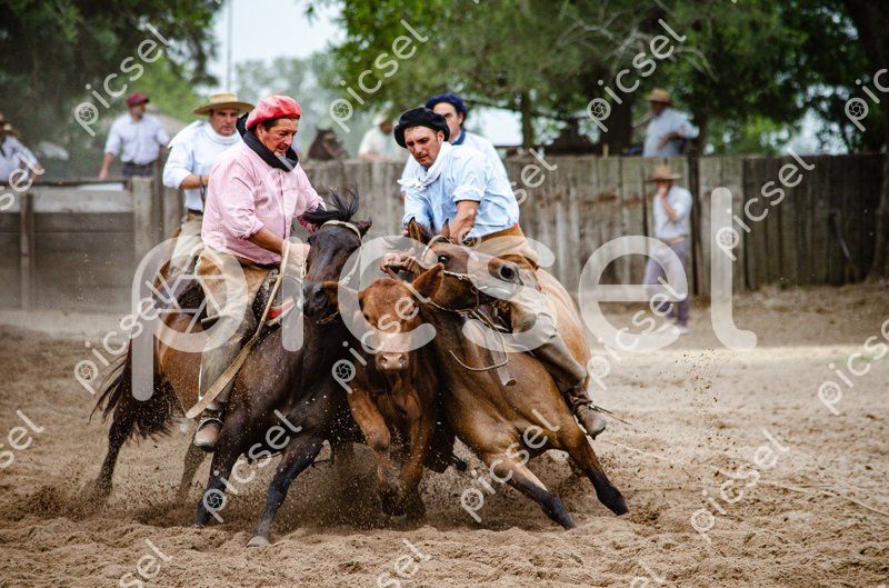 Photo of b8jatwwjwx3qp21yhw4pfw26