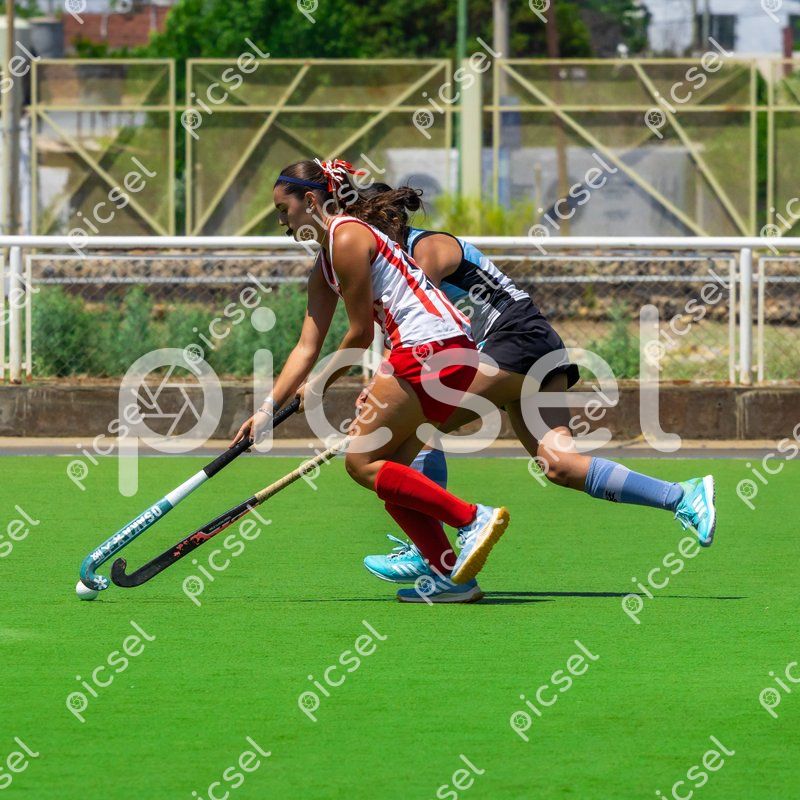 Photo of im52wolo0y0kf1fgzgtp8d04