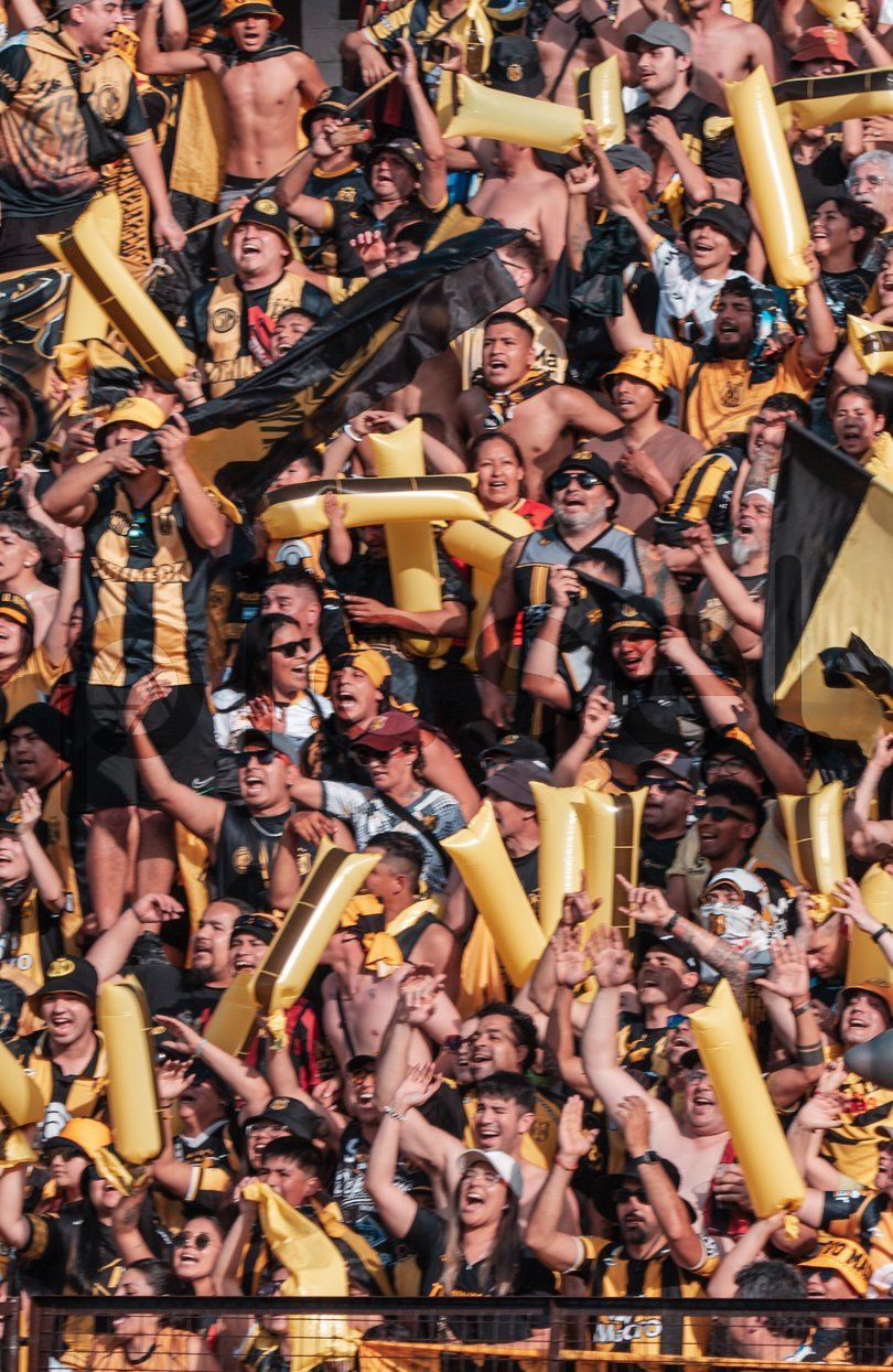 Photo of qdi27g8zly09a3tyl3nw3tja