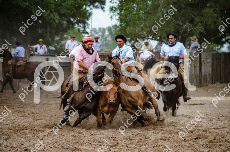 Photo of d1r94gcwx2185xn87pz4k5nl