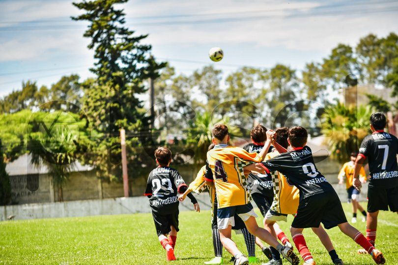 Photo of ftzol3ufrts7jp9xb3ycllox