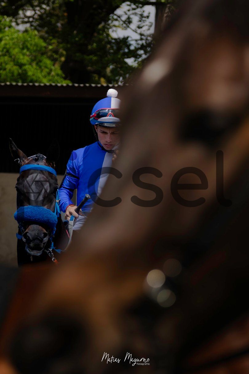 Photo of mi72d1h8luvfjs9a7xv1jt5p