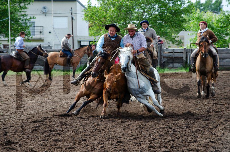 Photo of hc7woshkbythq2tghn7tt3g1