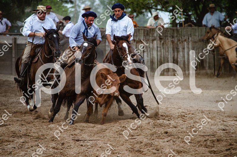 Photo of x4x77cpjq3b8ze7x1sjbd9nv