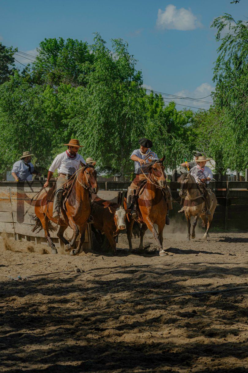 Photo of rklswbh6h8tnx046syn7p3az