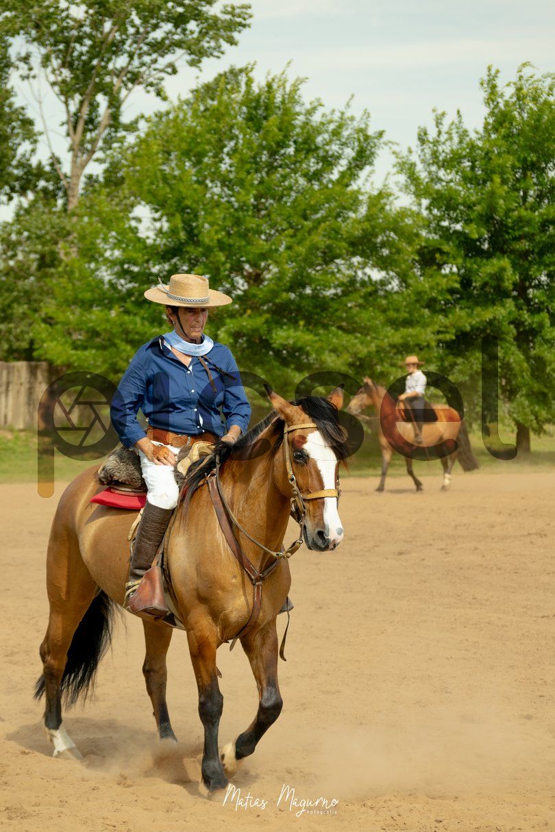 Photo of ib7ecu3mweo94e5rfv26va28