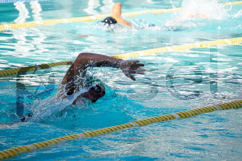 Photo of xo9ou6gngflwmmc7q7war26p