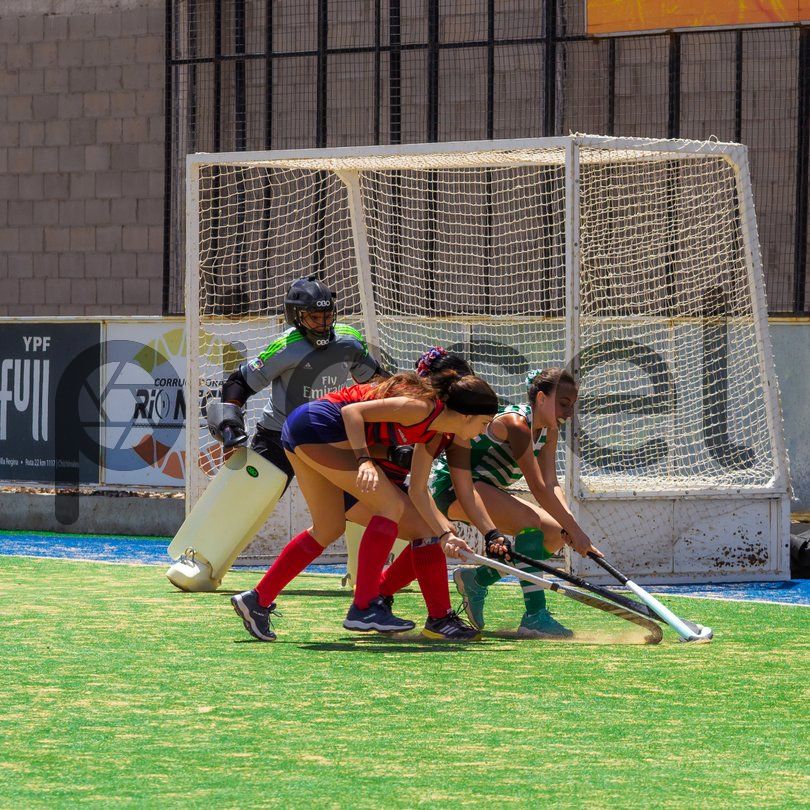 Photo of e1sd5qstx61scx75qnm3gbct