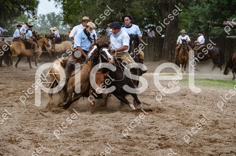 Photo of vcthidwuwzw71zqy1odwssou