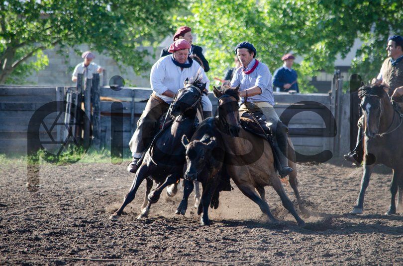 Photo of gnm5vs80tm36tgxcbj9joi2q