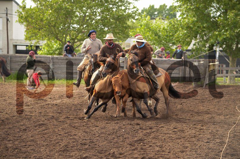 Photo of m4jmmpmwf031xfjacc890m37