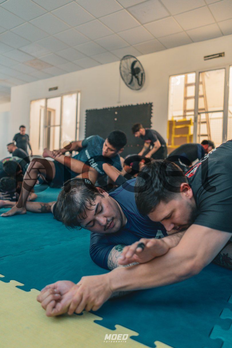 Photo of bl8uuduivltp7qkstnz5kkcq