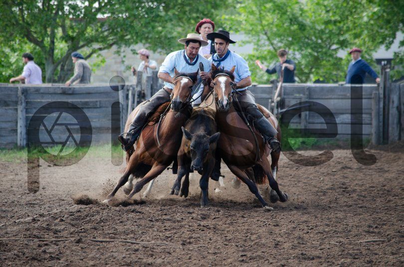 Photo of tb4qq95yxvt2idpg0dpud2ag