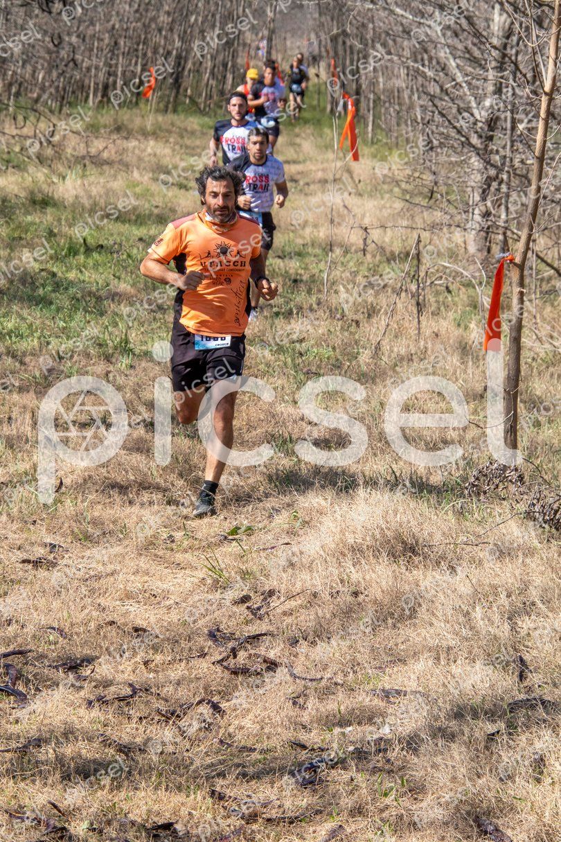 Photo of ns7llskj15n0d5m0omq9rul5