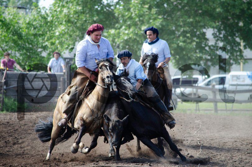 Photo of xq73xg7ko4rxyokc78cacbgq