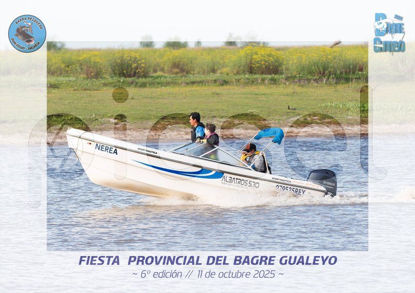 Photo of i1xhc72u0amiear19b3fud3i