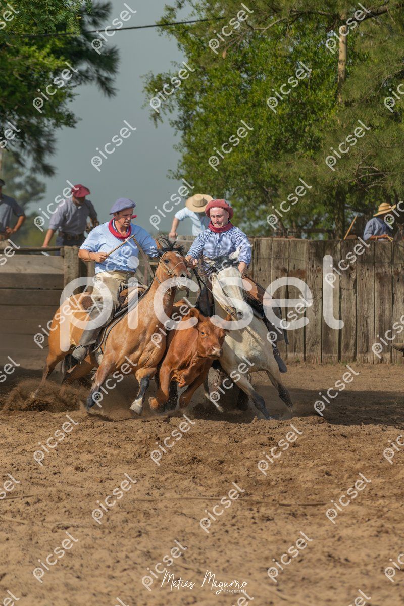 Photo of frdbbnh4ag9nnstudi6ucmzw