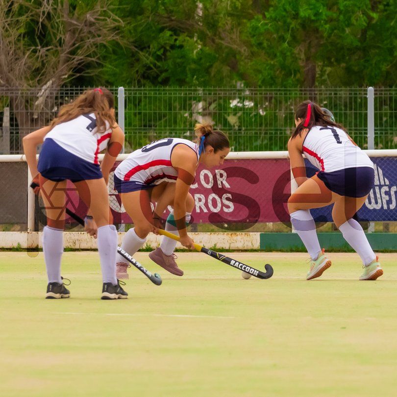 Photo of sqtbit41ogugvi3rp0duirjt