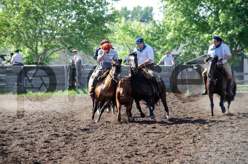 Photo of hk0bzmjb5odp2f99r2ww10wa