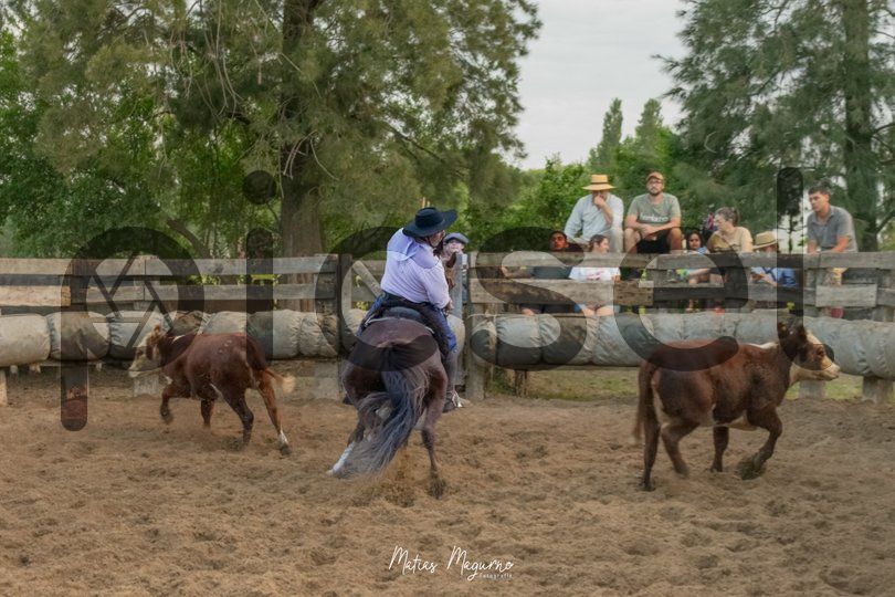 Photo of yyfh51al93feu2wi466w2wc1