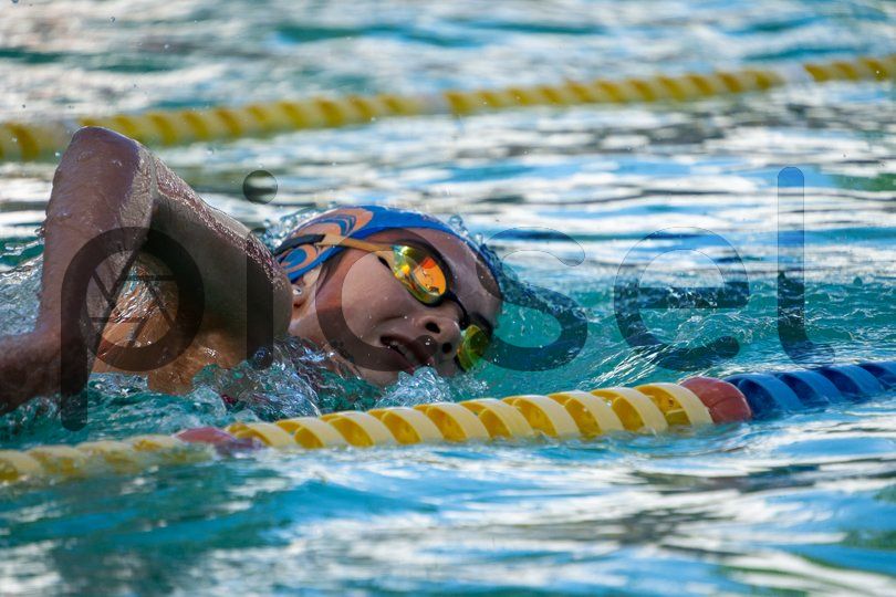 Photo of sknk7f4zbq0eh32ce780oyld